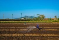 BRI terus berkomitmen dalam menerapkan prinsip Environmental, Social, and Governance (ESG) sebagai bagian dari strategi bisnis Perseroan. (Dok. BRI)