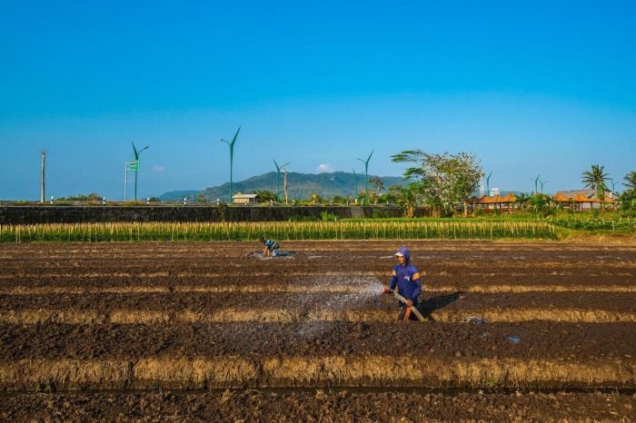 BRI terus berkomitmen dalam menerapkan prinsip Environmental, Social, and Governance (ESG) sebagai bagian dari strategi bisnis Perseroan. (Dok. BRI)