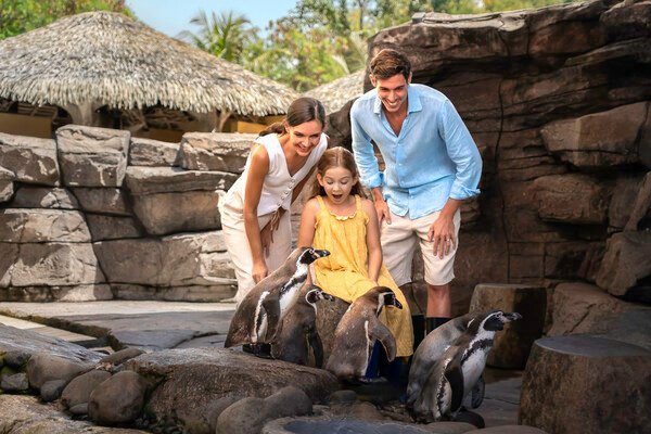 Bali Magical Adventure – Marine Safari Bali Brings a New Wave of Ocean Discovery to Southeast Asia