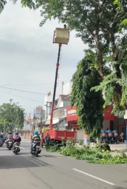 Peran DLH Dalam Menjaga Lingkungan Kota yang Bersih