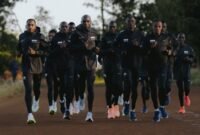 The dsm-firmenich Running Team